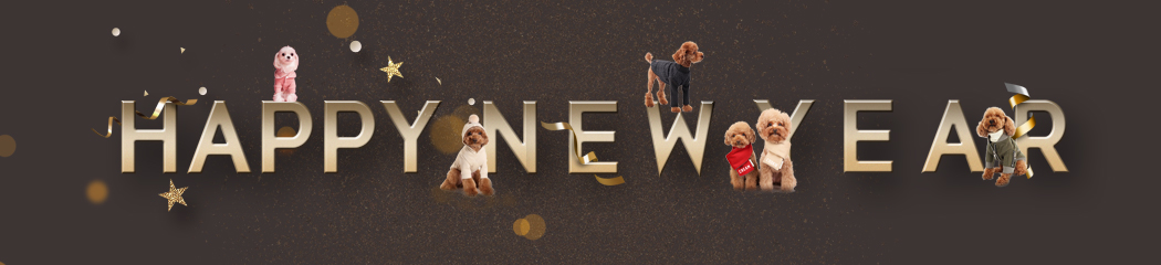 Ȳ�� ���� ���� �ְ� ��ȹ��