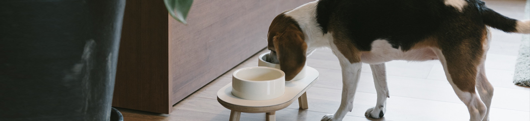 �ݷ������� ���� ��Ÿ��, ���������� 10%����