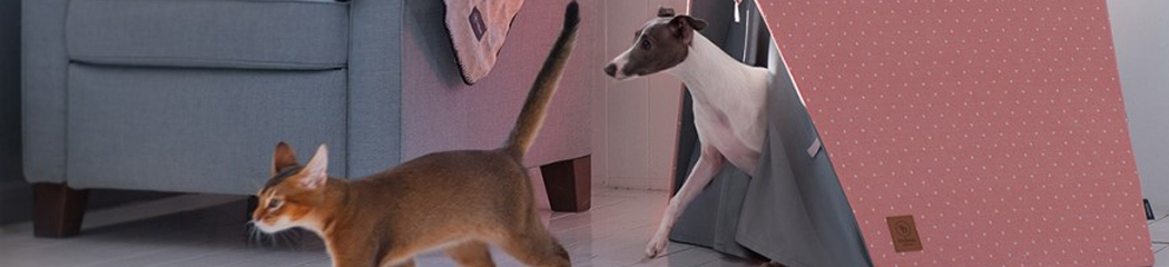 �Ҽ��� �ϻ��� ���� �ູ�� �������� ����, 10% ����