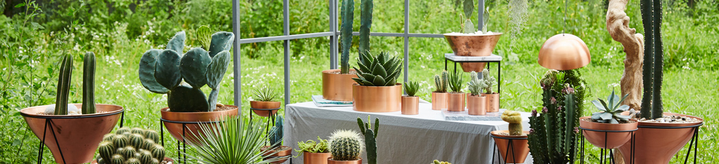 �ʸ��� ����ǰ 10% ����