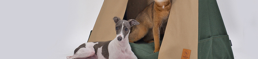 �ݷ����� ����ϴ� �ְ��Ͽ콺, ���� 10%����